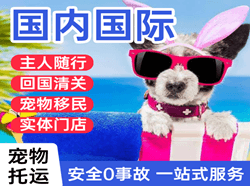 湘西边城航空托运国际宠物托运 【国